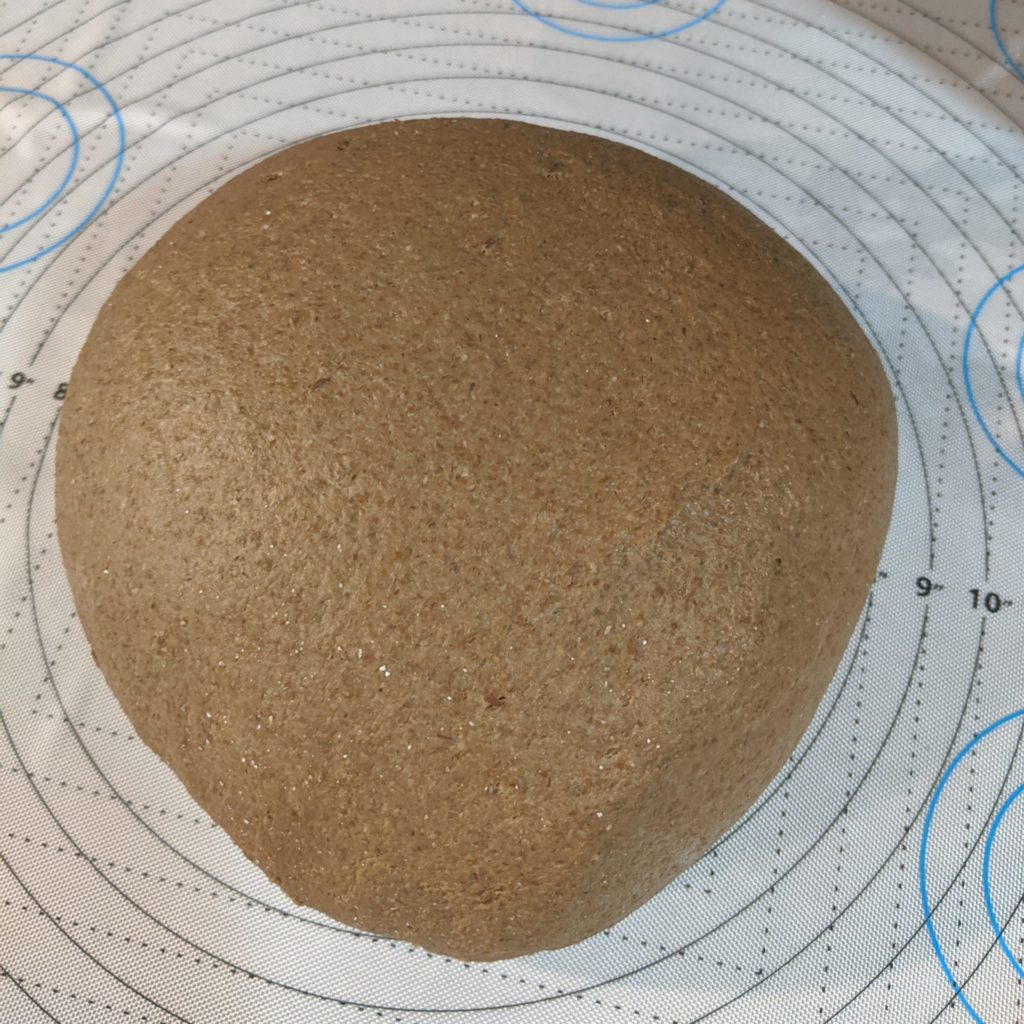 Pumpernickel bread dough - a thing of beauty