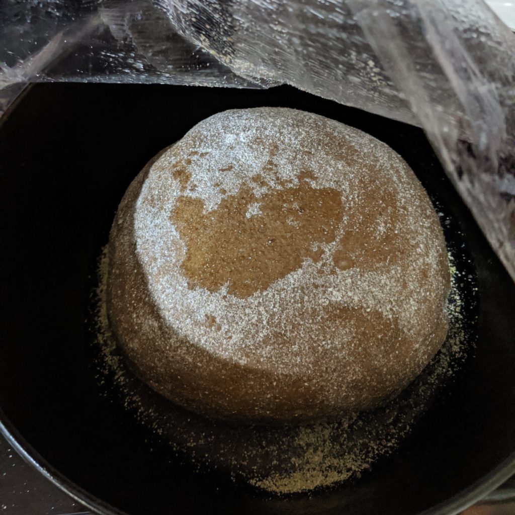 Pumpernickel bread dough shaped and in the Dutch oven