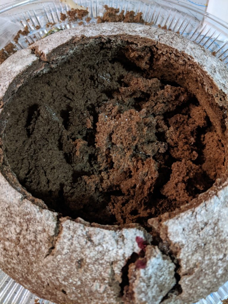 Pumpernickel bread bowl with torn bits